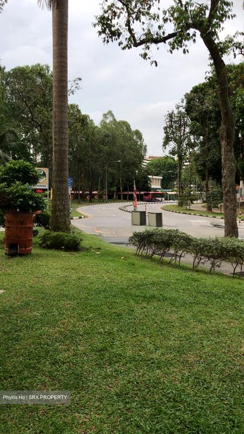 Blk 110 Chong Pang Garden (Yishun), HDB 3 Rooms #520497141